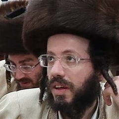 דוד קרויס ז"ל
