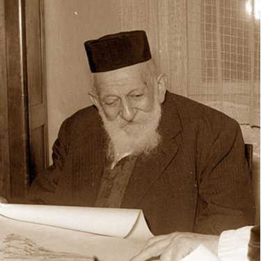 משה וולך ז