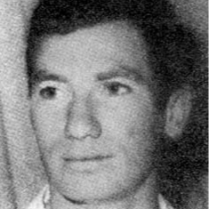 צבי הורוביץ ז