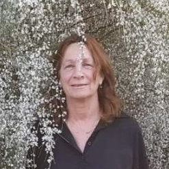 רותם קלדרון הי