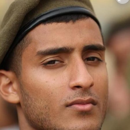 עמית צור הי