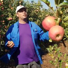 עומר ויינשטיין הי