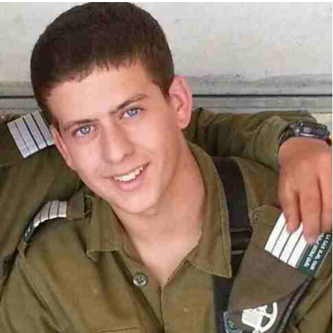 סמל ארז שגיא ז